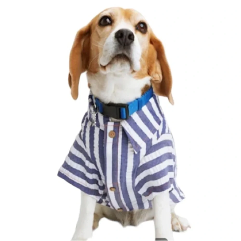 NWT Youly “the Poet” dog shirt M